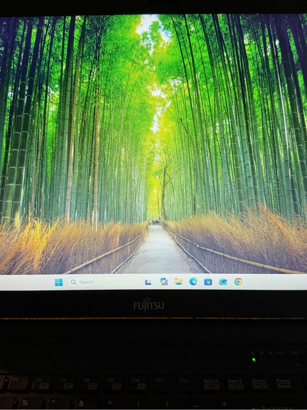 Fujitsu LIFEBOOK E556 Intel® Core i3 i3-6100u Windows 11